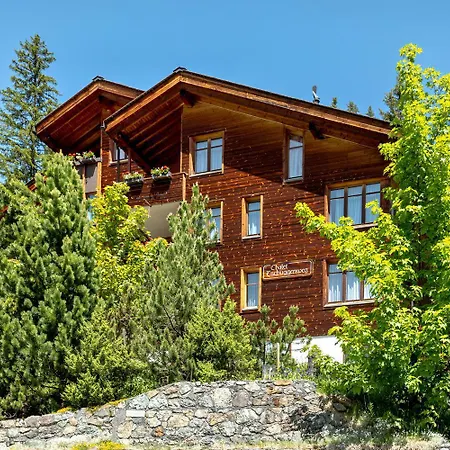 Apartment Tschuggenweg 10 *